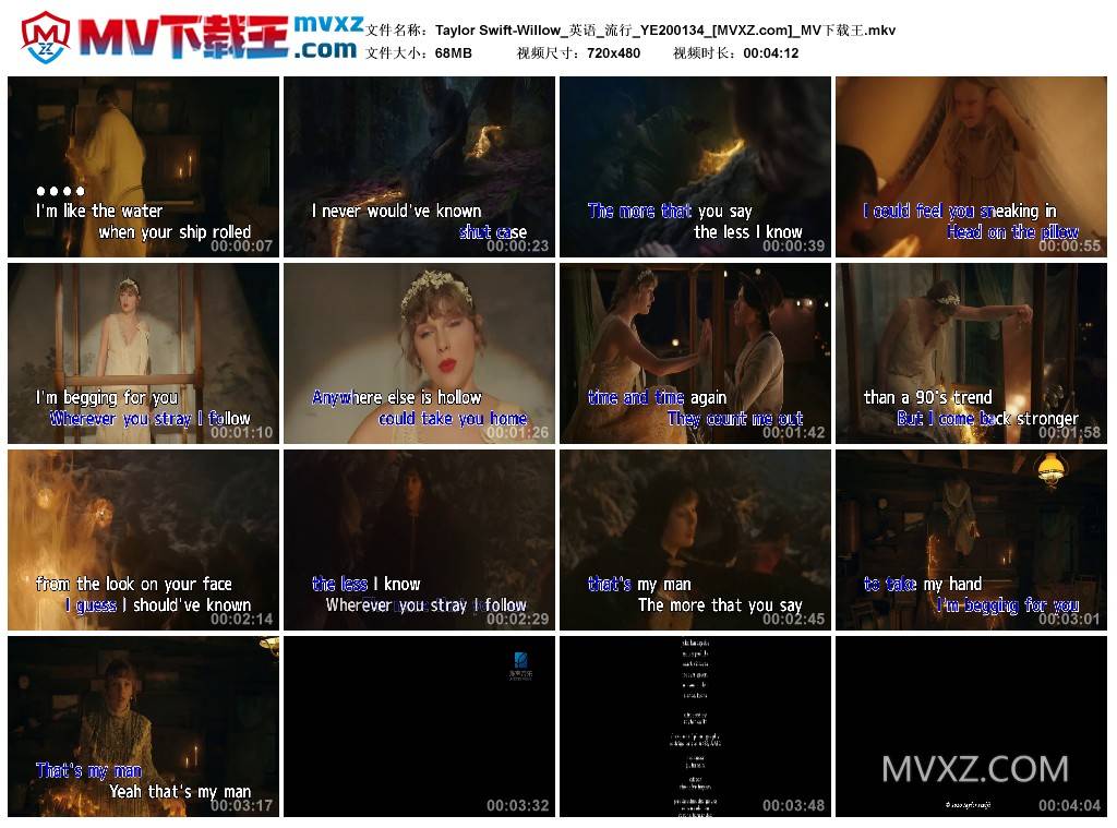 Taylor Swift-Willow_英语_流行_YE200134